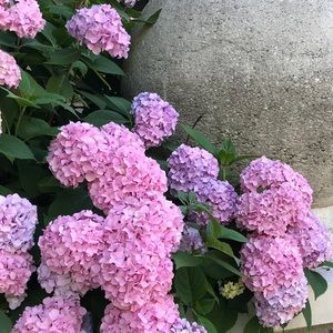 Meet your Posher, Christin